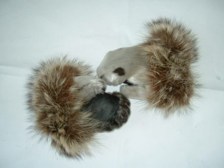 Harp seal mitts